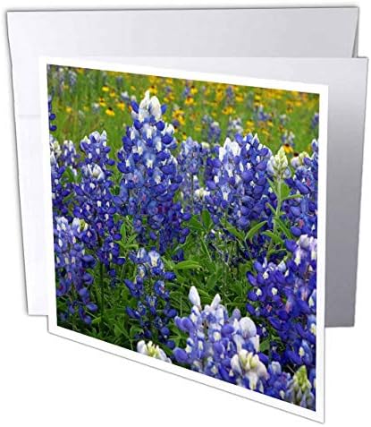 3рОсси диви цветя в техасских хълмове. Сини барети - Поздравителни картички (gc_332114_5)