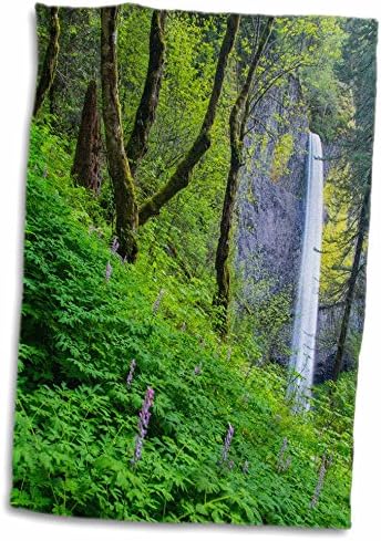 3 Водопад Роза-Лауторелл, Национален живописен район дефиле Колумбия, Орегон, САЩ - Кърпи (twl-190205-3)