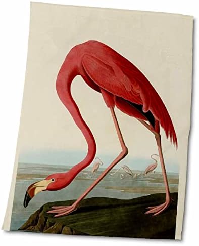 Кърпи 3dRose Florene Birds - Реколта с Розови фламинго (twl-48221-1)