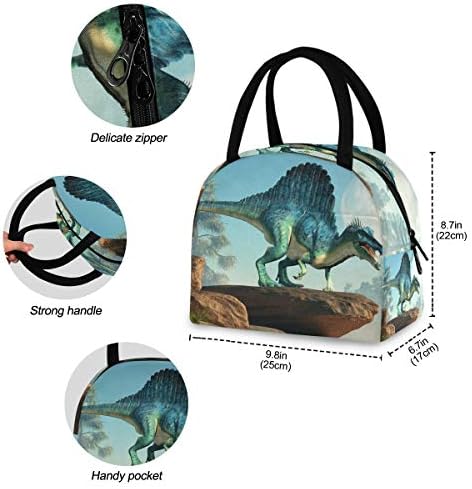 Случайна чанта за обяд Дамски - Moon Динозавър Големи Запечатани Торби за Обяд с плечевыми ремъци за Пикник по време