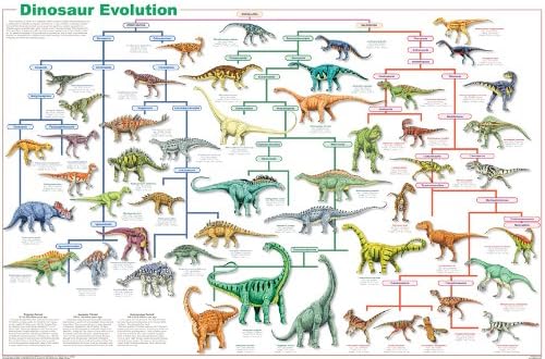 Плакат на еволюцията на динозаврите издателство Feenixx 24x36