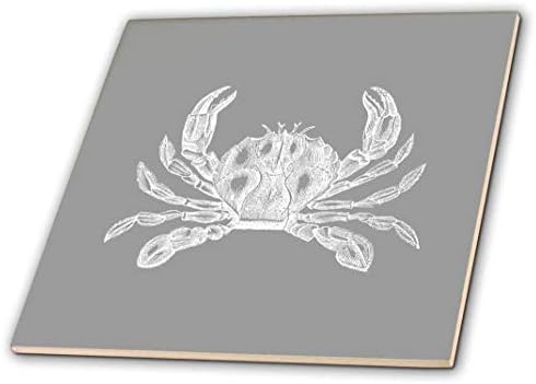 3dRose ct_164906_6 Реколта илюстрация на сивото мэрилендского раци. Грей плаж, в морски стил Морска океана-стъклени плочки,